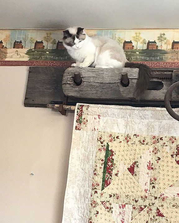 145 Lower Meadow Rd, Rochester, VT 05767 Zillow