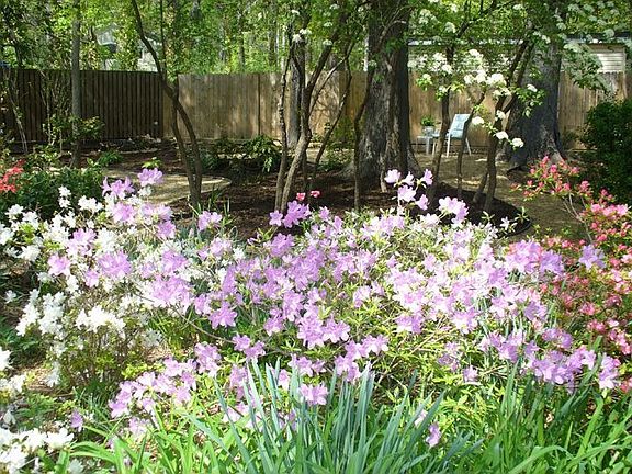 Backyard Oasis  -- Very Private