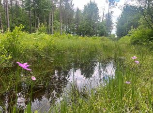 0 Old Highway 54, Pittsville, WI 54466