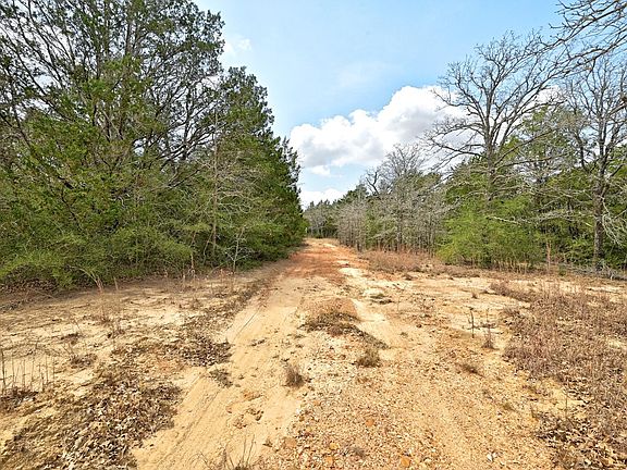 4th image of 109 Crepe Myrtle Rd