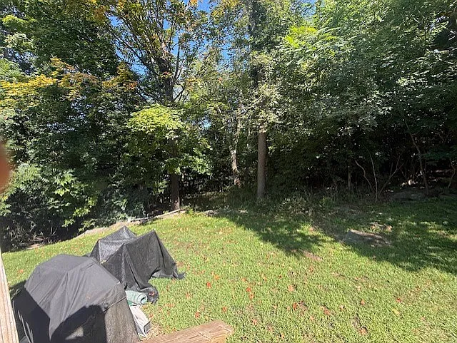 11082 Creek Rd #B — Photo 15