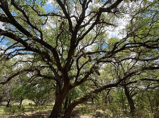 5028 Tanglewood Trl, Spring Branch, TX 78070