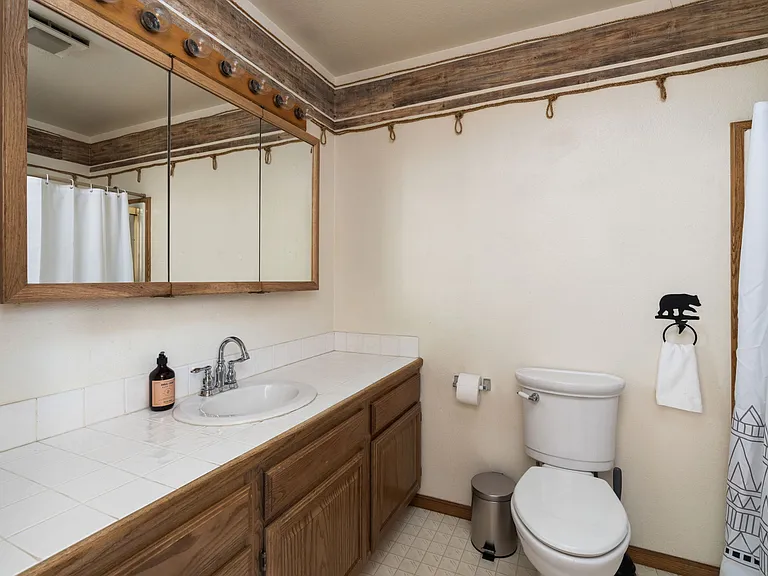Downstairs bathroom and shower
