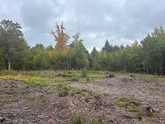 4th image of Lot #2 Branch View