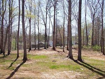 5th image of 5415 Wyndemere Cir