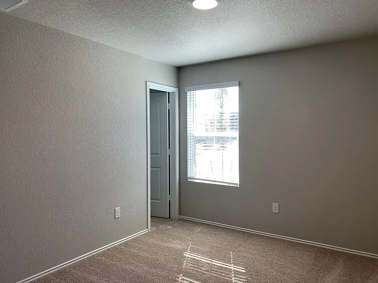 15208 Siberian Elm Ln — Photo 10