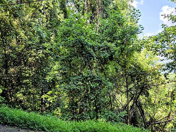 3rd image of 28 Sugar Maple Loop Rd Lot 28