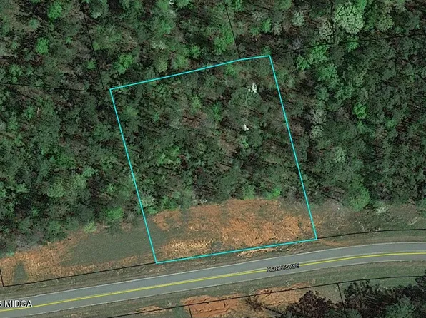 122 Heights Ave, Forsyth, GA 31029