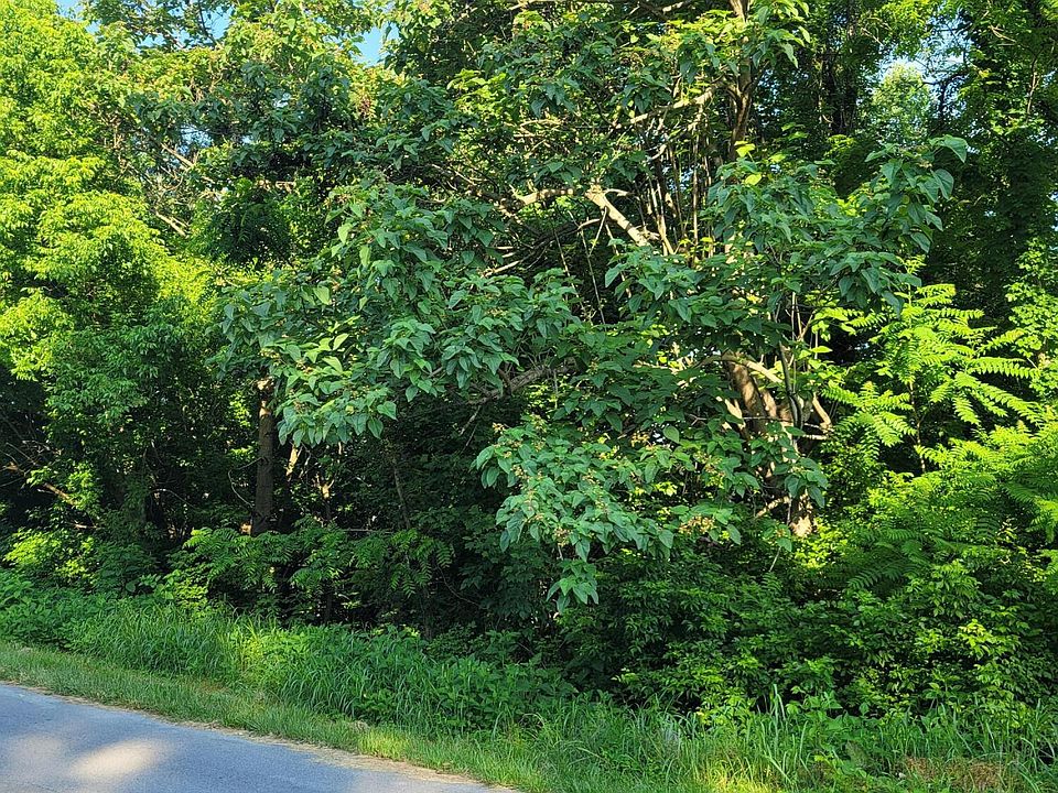 2nd image of Blue Haven Dr