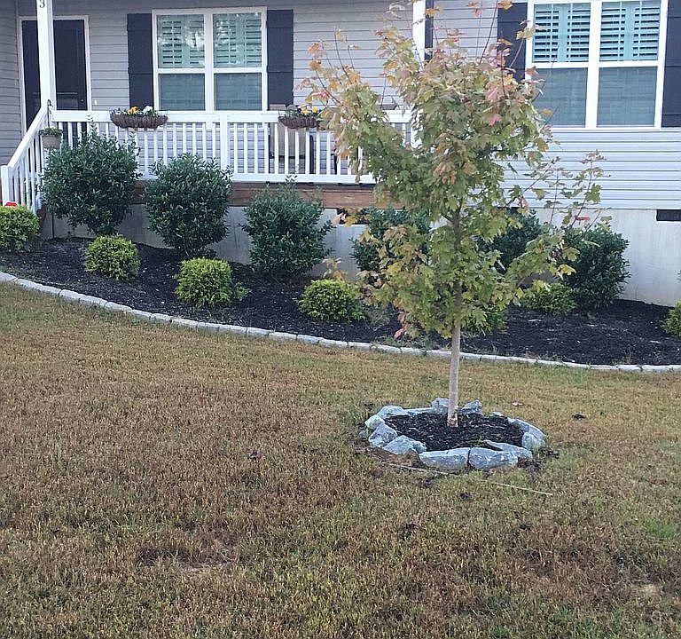 2nd image of 73 Savannah Ridge Ct