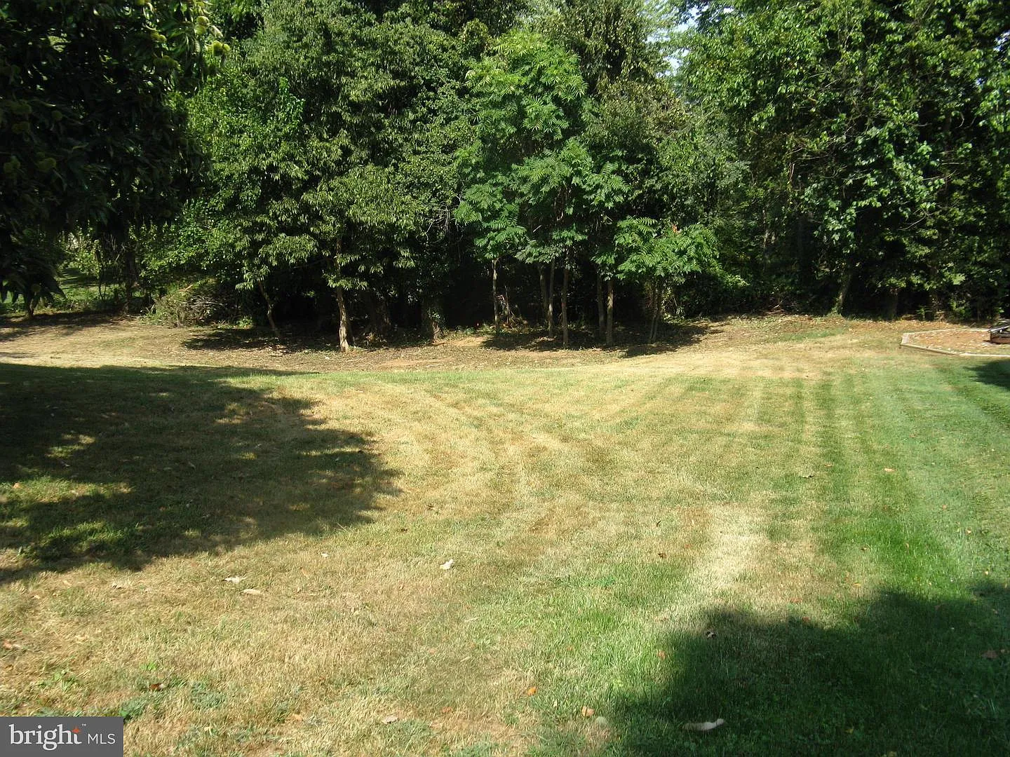 LOT 1C Harmon Lodge Way photo 1