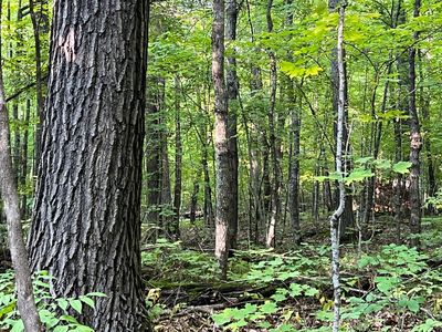 45 289th Ln, Aitkin, MN, 56431