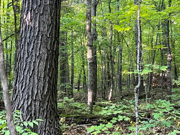 45 289th Ln, Aitkin, MN 56431