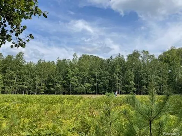 0 E Phelps Rd, Lake City, MI 49651