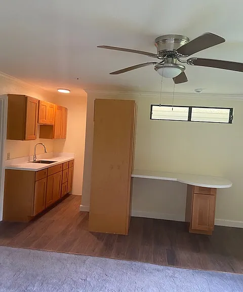 Kitchenette, refrigerator cabinet, dining peninsula