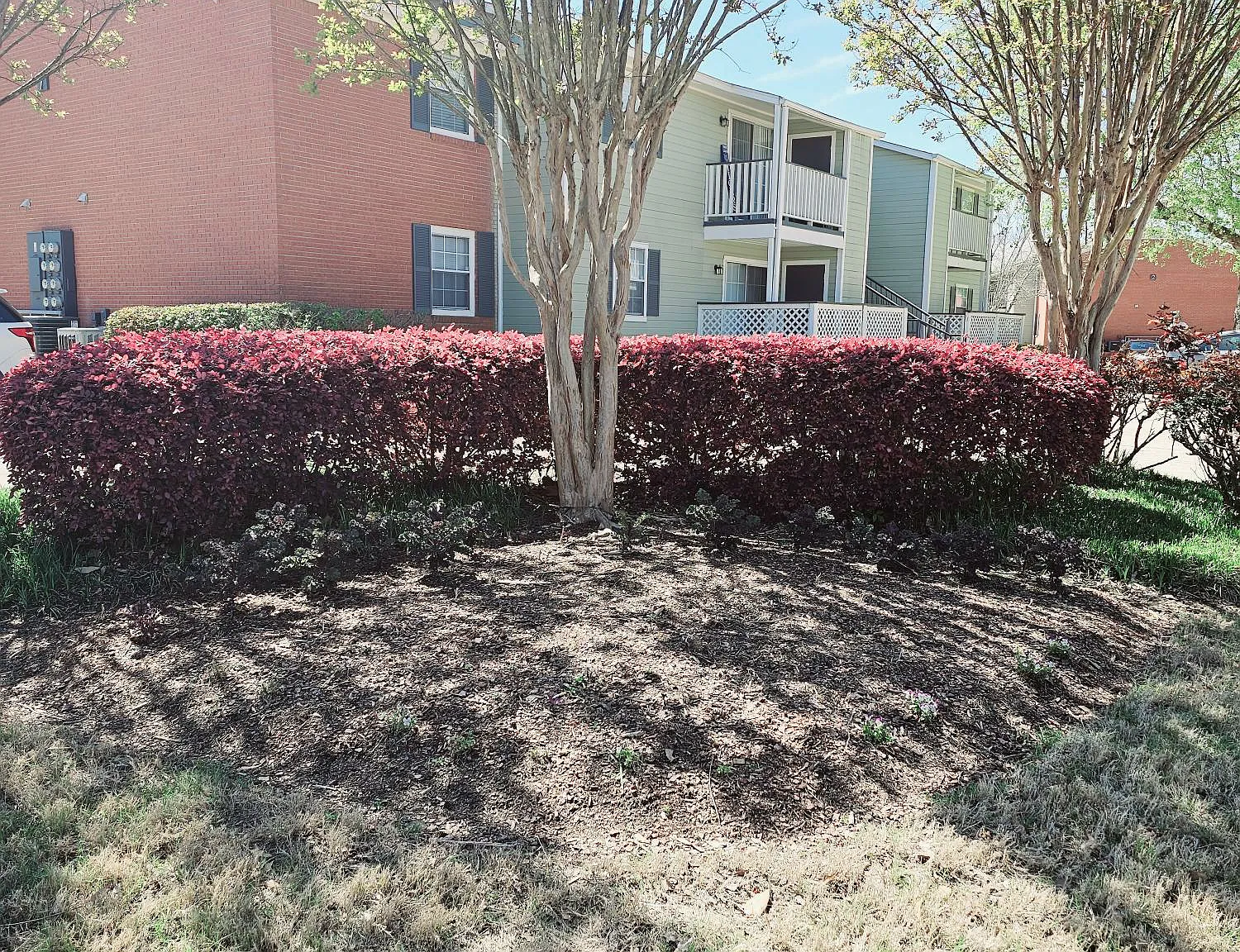 Northtown Apartments — Photo 2