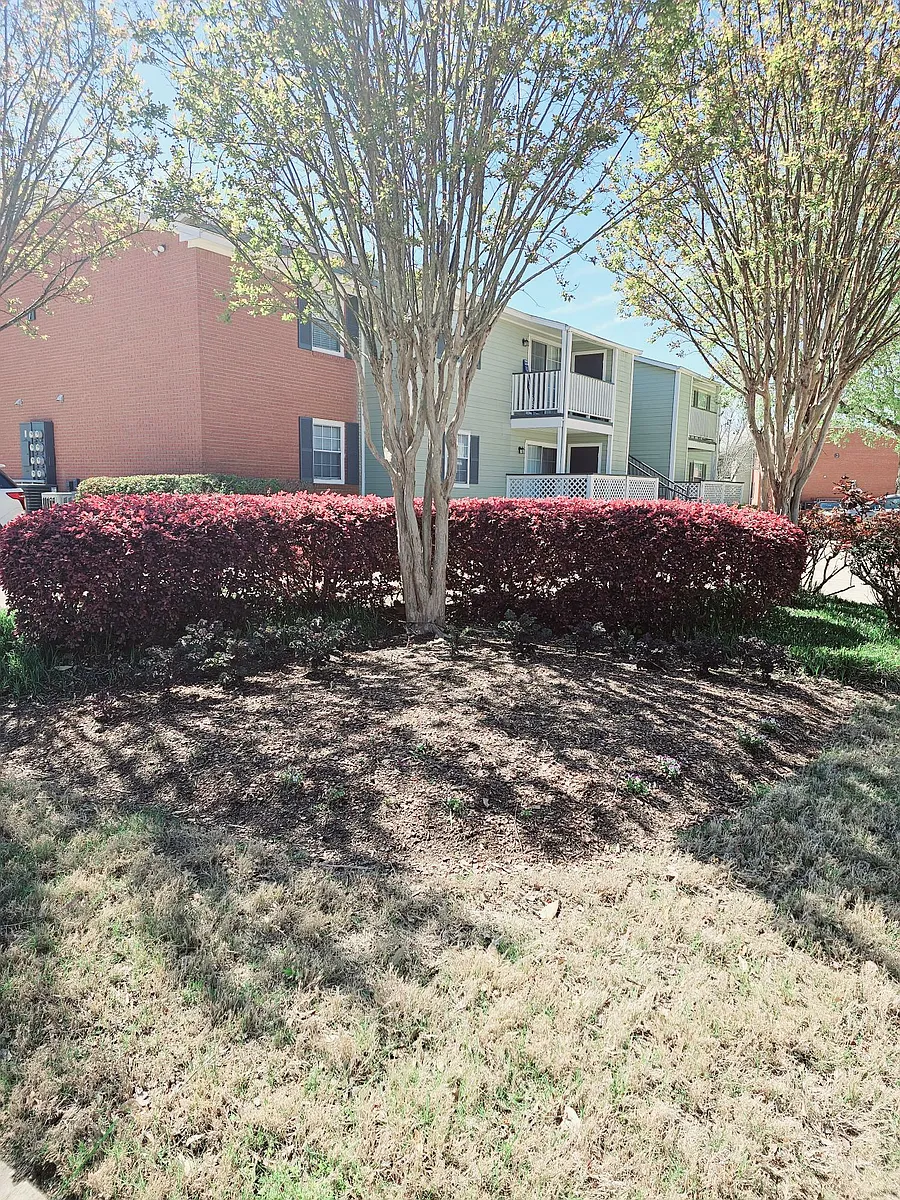 Building Photo - Northtown Apartments