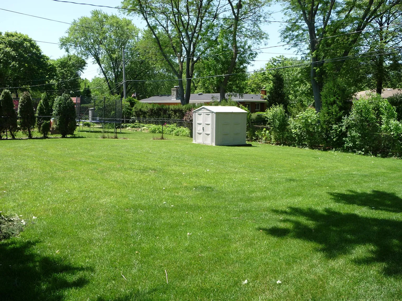3 bed, 1.5 bath, 1810 sqft, $2,950 — Photo 3