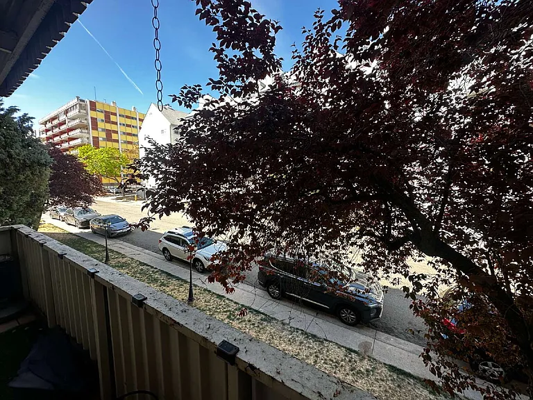 4110 E Hale Pkwy #2C — Photo 10