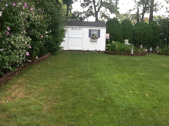 Shed in backyard