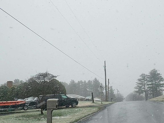 5th image of 1922 Massanetta Springs Rd