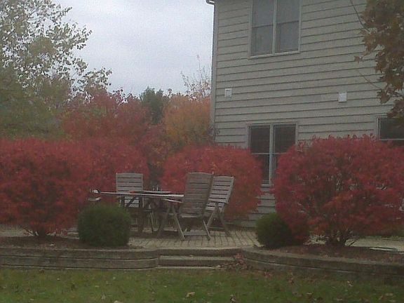 Back Patio