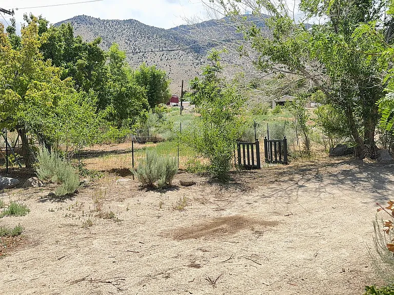 164 Cottonwood Ln — Photo 33