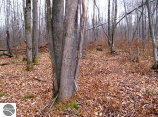 Soderquist Rd, Mancelona, MI 49659