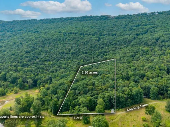 0 Newsome Gap Rd, Rising Fawn, GA 30738