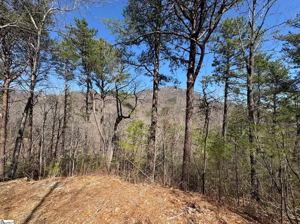 19 Foggy Ridge Way, Travelers Rest, SC 29690