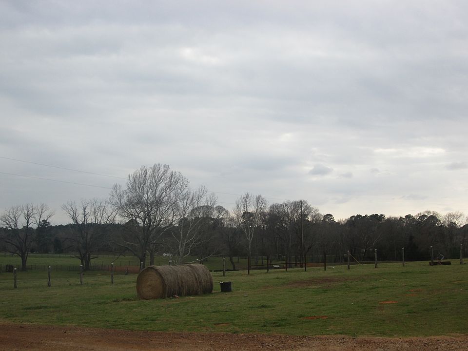 1st image of 210 County Road 3416