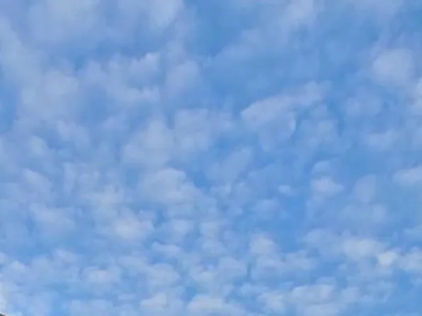 11953 S Lawndale Ave #2B, Alsip, IL 60803