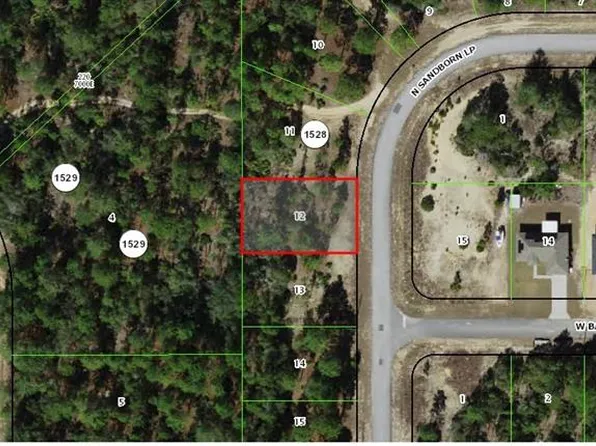 6750 N Sandborn Loop Lot 12, Dunnellon, FL 34433