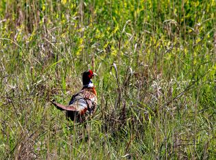 456 D Rd, Palco, KS 67657