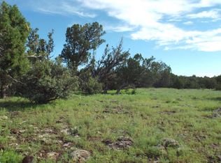 424 County Road 8052, Concho, AZ 85924