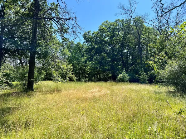 2641 Big Antler Rd, Lewiston, MI 49756