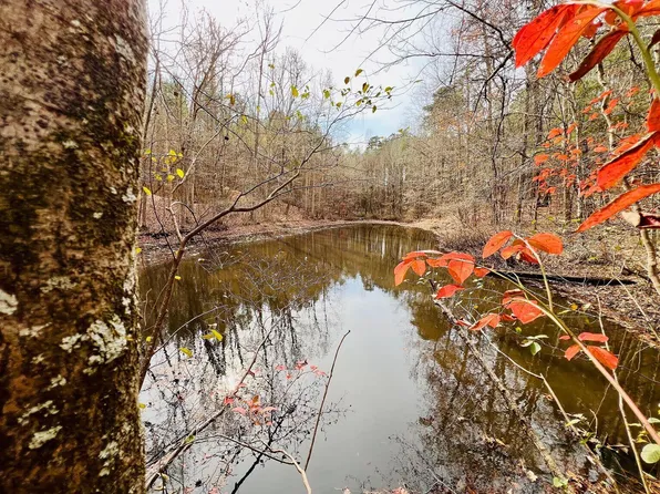 Highway 30, Booneville, MS 38829