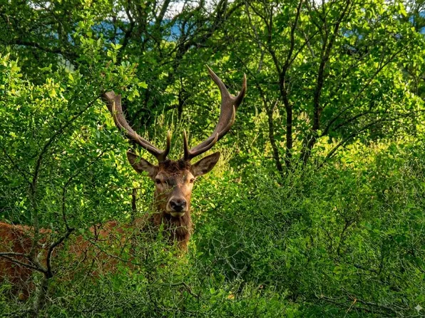 11222 SE Highway 2 St, Tuskahoma, OK 74574