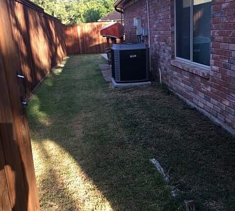 Side yard #2