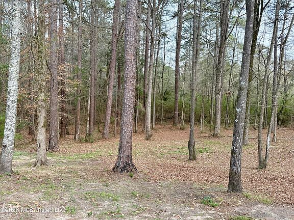 4th image of 15489 Mississippi #18