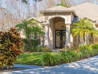 19321 Wind Dancer St, Lutz, FL, 33558