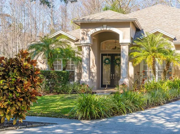 19321 Wind Dancer St, Lutz, FL 33558