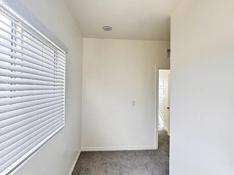 2711 Lindsey Springs St — Photo 19