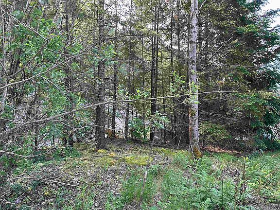 3rd image of 21647 Thacker Mountain Rd