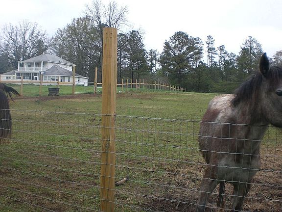looking at home from barn