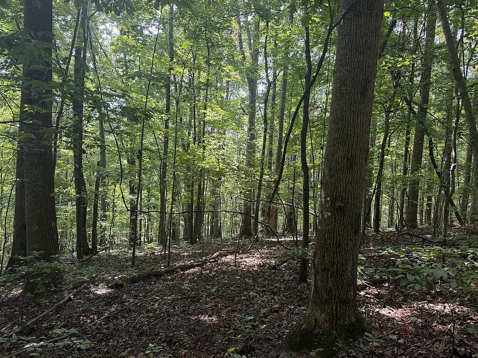1st image of Tbd Buchanan Rd