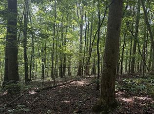 Tbd Buchanan Rd, Glade Spring, VA 24340
