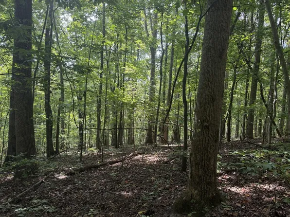 Tbd Buchanan Rd, Glade Spring, VA 24340