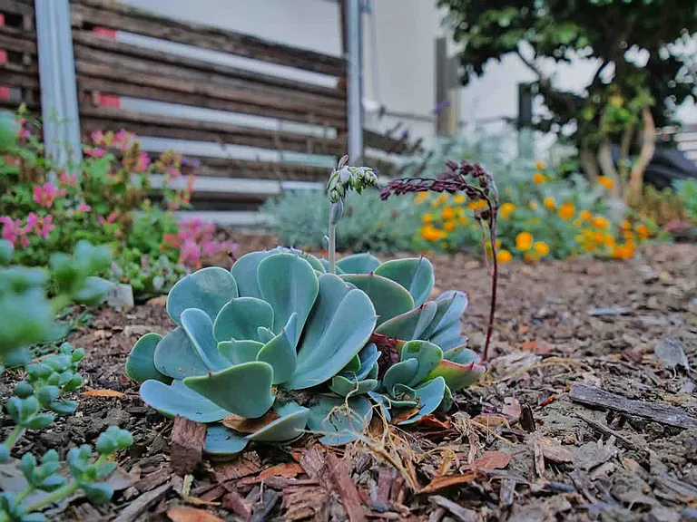 Neighborhood