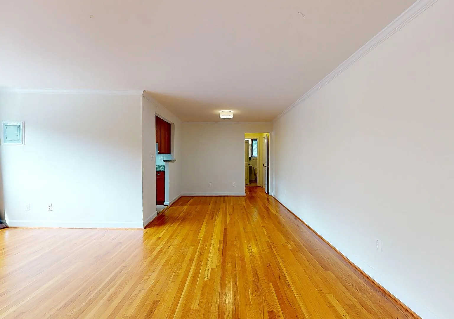 2725 39th St NW, Unit 403 (DC) - 403 — Photo 2
